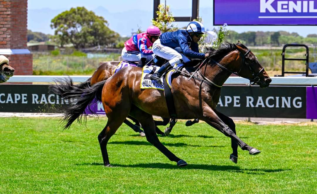 Winterbach Stud (@winterbachstud) on Twitter photo Sweetie Darling wins over 800m at Kenilworth.
Born and raised <a href="/WinterbachStud/">Winterbach Stud</a> . Well done to the breeder Patricia Devine Investments.
Owners : Itssa It & Business Solutions
Trainer : Glen Kotzen Sweetie Darling wins over 800m at Kenilworth.
Born and raised <a href="/WinterbachStud/">Winterbach Stud</a> . Well done to the breeder Patricia Devine Investments.
Owners : Itssa It & Business Solutions
Trainer : Glen Kotzen