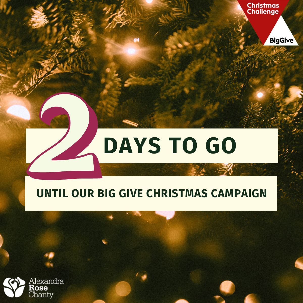 📢 2 DAYS TO GO UNTIL OUR BIG GIVE CHRISTMAS CAMPAIGN! 

Wow, the day is nearly here. Launching on Tuesday, 28th November at noon, our Christmas fundraiser will run for one week, with all donations doubled during this time.