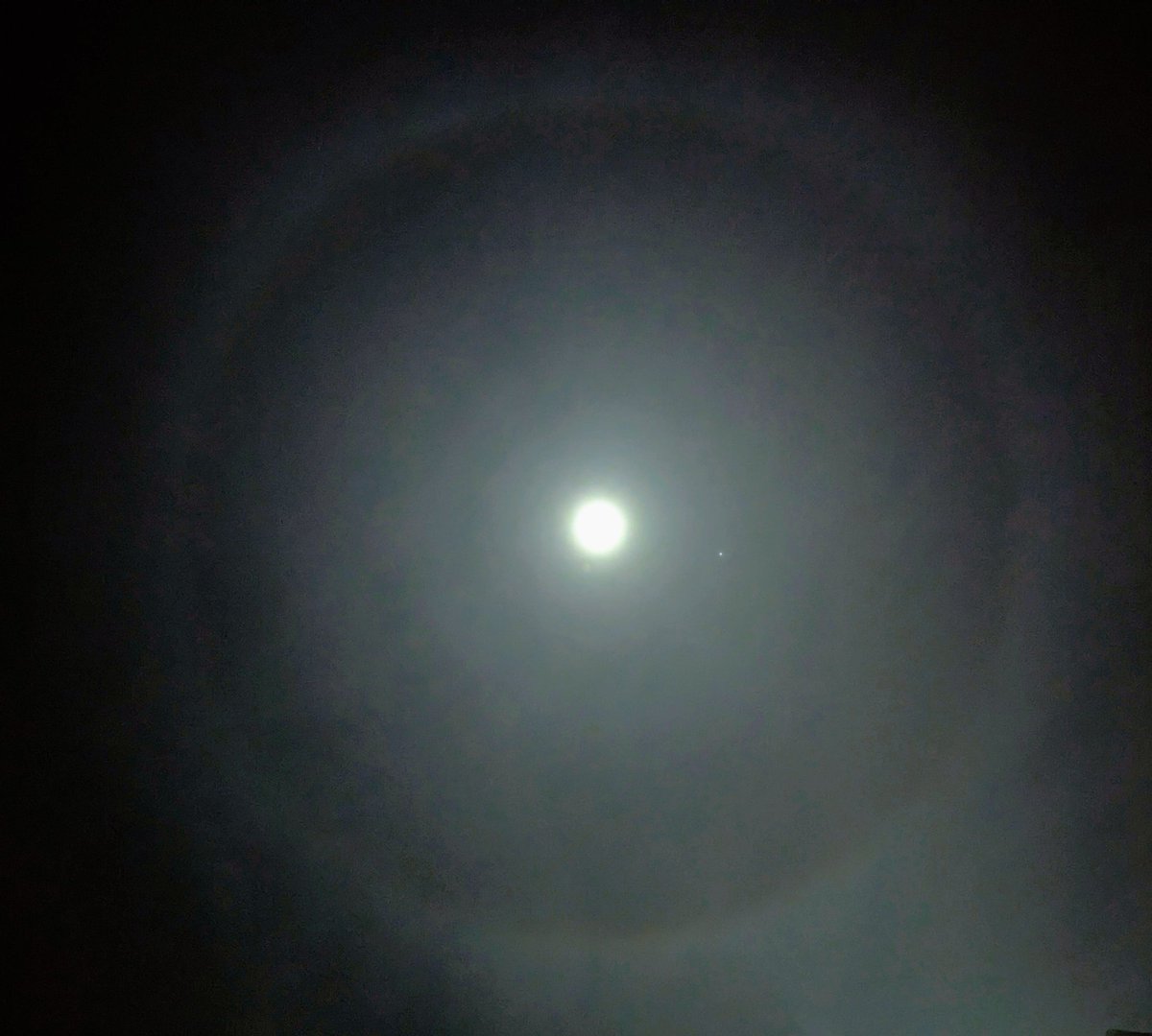 My attempt at a pic of the lunar halo spotted last night.