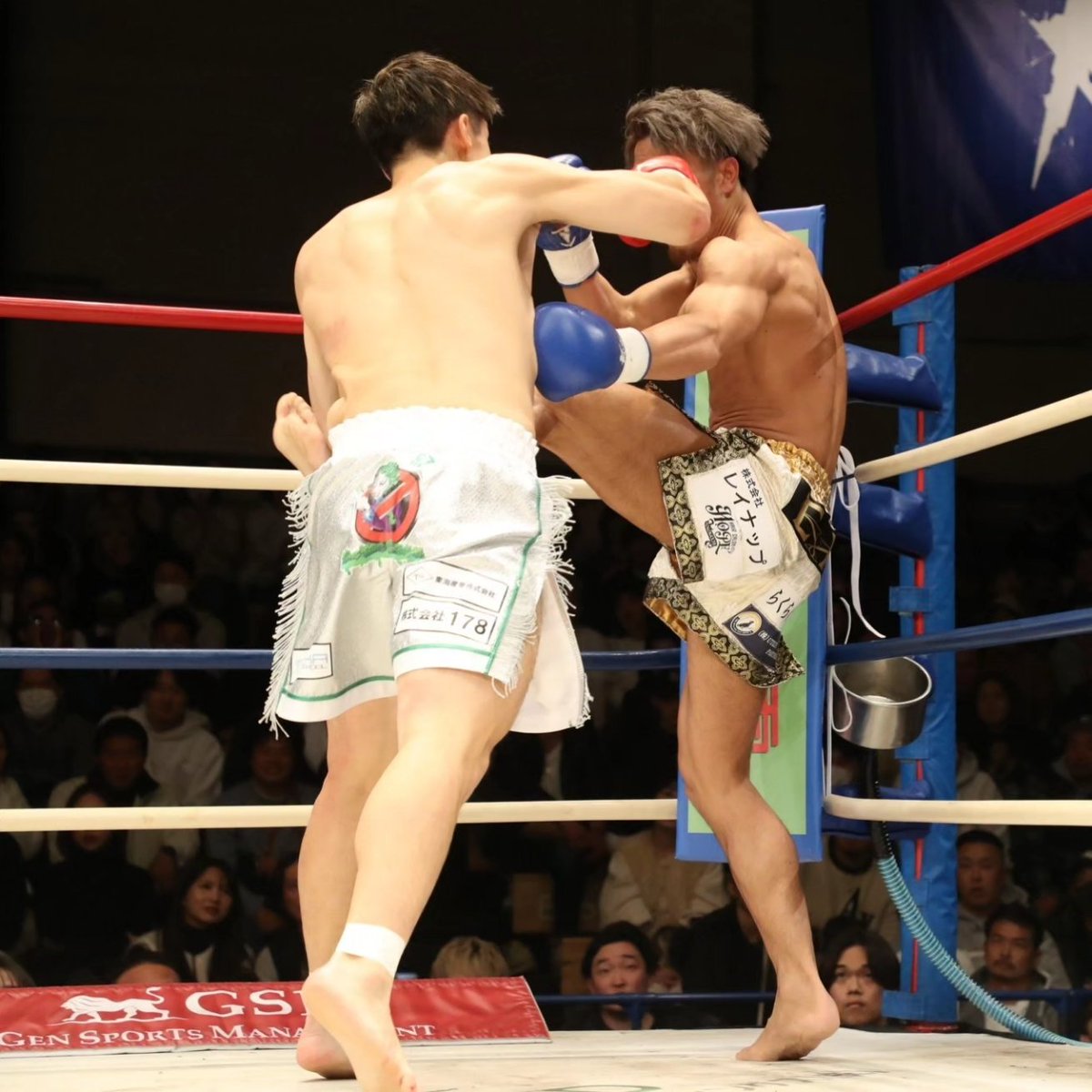 wizard0420kazu's tweet photo. Krush155 寺島輝
1ラウンド逆転KO勝利!
#寺島輝
#LLCWIZARD
#契約トレーナー
#WIZARDKICKBOXINGGYM
#共に勝利を https://t.co/8LypANTWSq