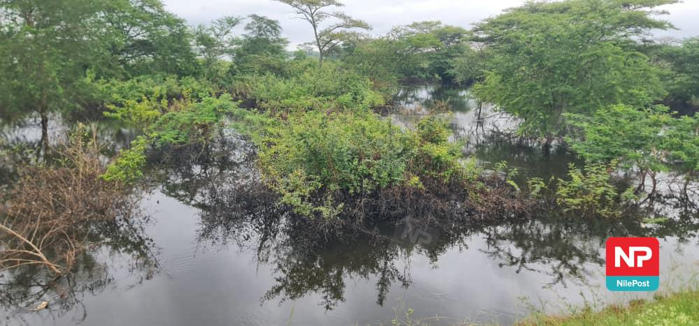 nbstv's tweet photo. PHOTOS: River Kafu along the Masindi Gulu highway has flooded. 

📸: @mildredtuhaise

#NBSUpdates https://t.co/L2zWsEMmgp