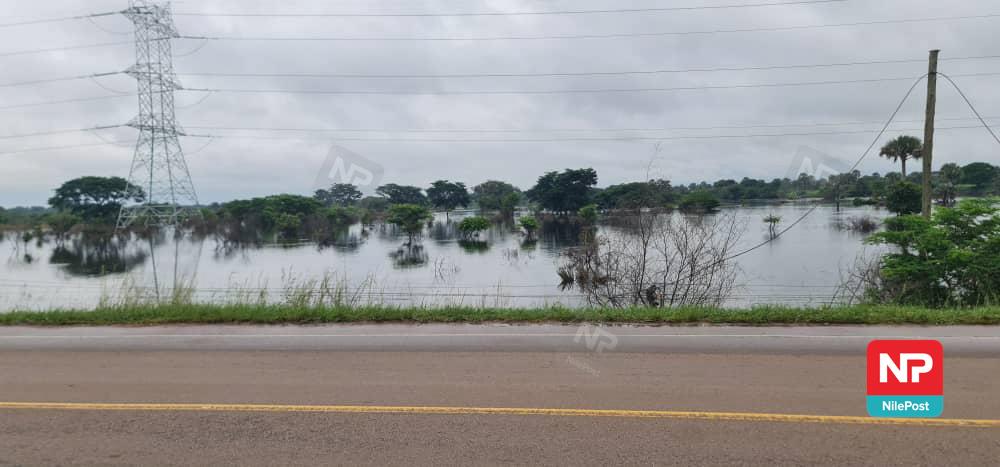 nbstv's tweet photo. PHOTOS: River Kafu along the Masindi Gulu highway has flooded. 

📸: @mildredtuhaise

#NBSUpdates https://t.co/L2zWsEMmgp