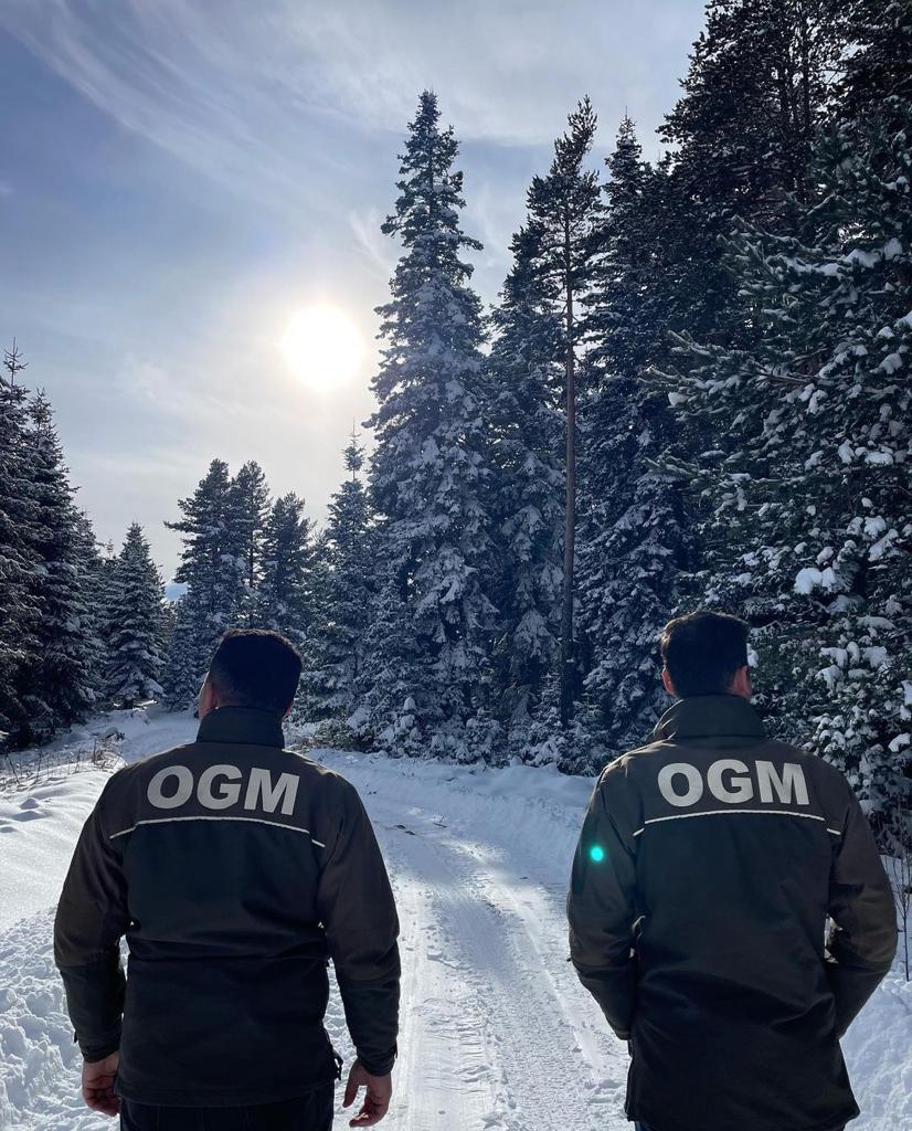 #Sinop #Boyabat'tan mutlu pazarlar. ❄️💚

#YeşilVatan
#GeleceğeNefes
#OrmandaKış