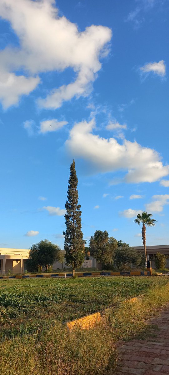 SamahAlkoni's tweet photo. Morning View ☁️☁️☀️ https://t.co/IyCdh36ZF3