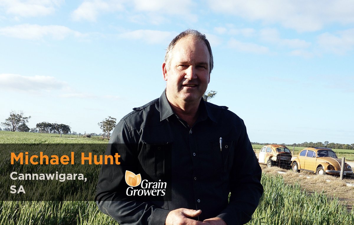 #PaddockPerspective 🚜 Michael Hunt is a grower from Cannawigara, SA 

'I take a lot of pride in being an Aussie grain grower, and I am pleased to be part of a group that is well renowned for their ability to achieve so much with so little.'

Read more: bit.ly/46rHOo4 👈