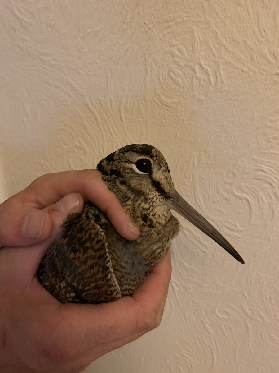 Robert Fisher tweet media