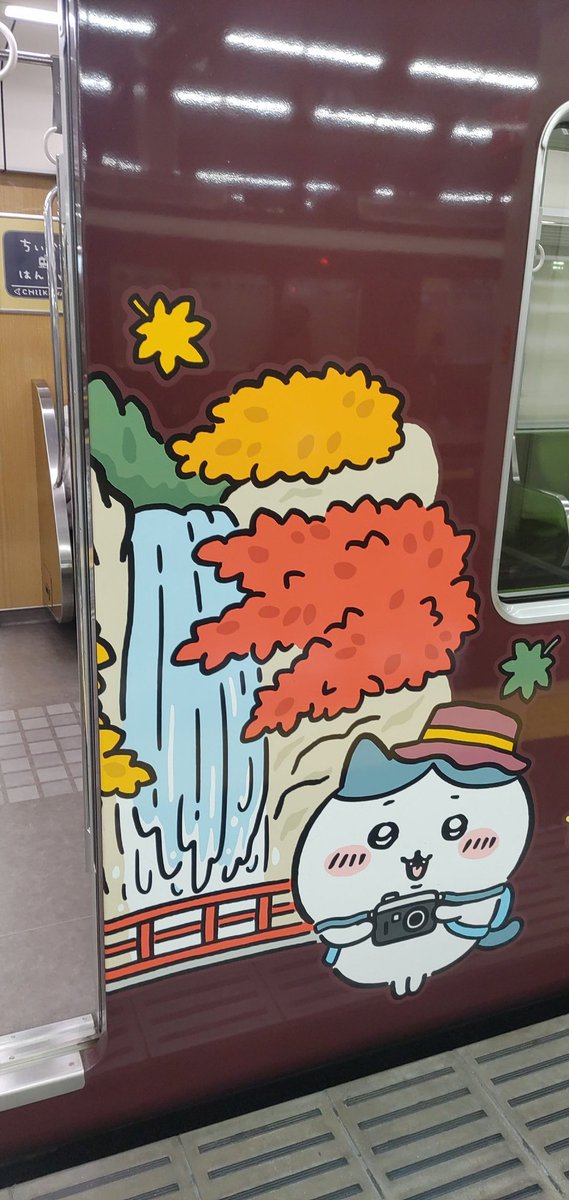 doremifar0310's tweet photo. ハチワレ https://t.co/G18uhZrt4a