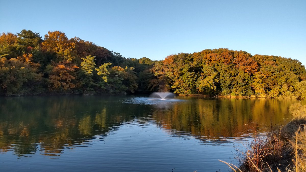 今日も1日お疲れ様でした!
来週もよろしくお願いします！岡崎市、大谷公園にて撮影