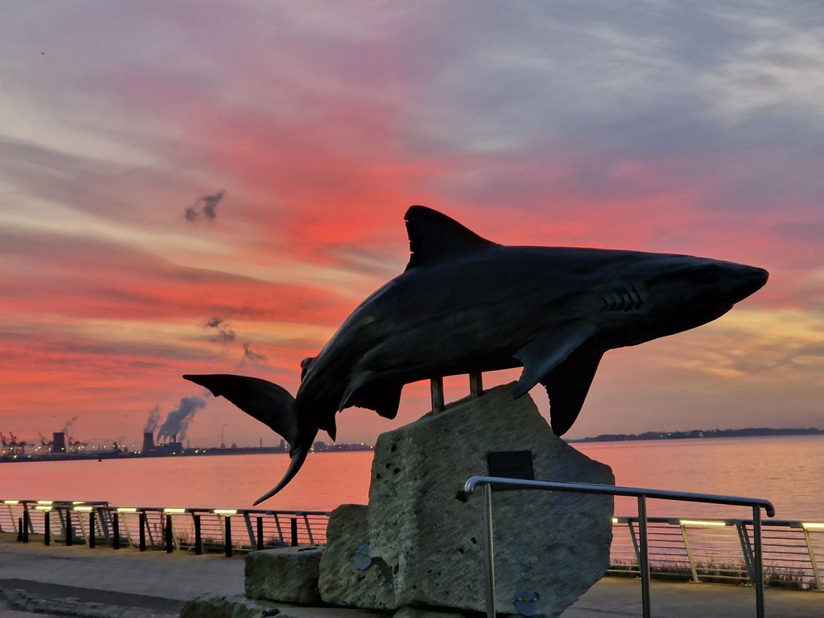 TheDeepHull's tweet photo. Winter skies are here; we see some amazingly colourful sunrises/sets over the Humber Estuary. Here are a few of our favourites!🌅
Tag @thedeephull for a chance to feature on our social media!
#TheDeepHull #Sunrise #Sunset #WinterSkies #HumberEstuary #Photography #AllThingsSky https://t.co/GgLqKzrRHt