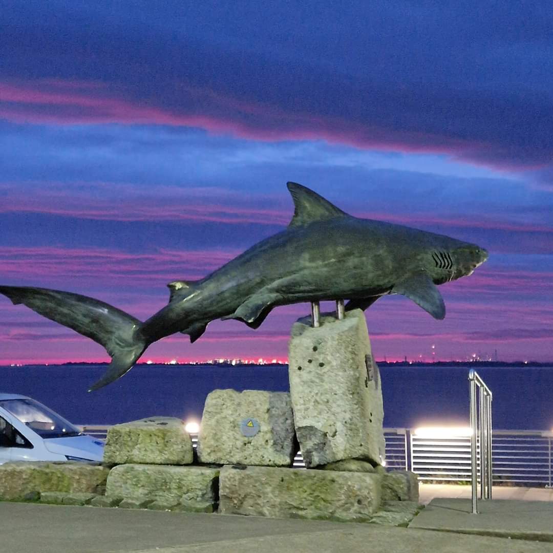 TheDeepHull's tweet photo. Winter skies are here; we see some amazingly colourful sunrises/sets over the Humber Estuary. Here are a few of our favourites!🌅
Tag @thedeephull for a chance to feature on our social media!
#TheDeepHull #Sunrise #Sunset #WinterSkies #HumberEstuary #Photography #AllThingsSky https://t.co/GgLqKzrRHt