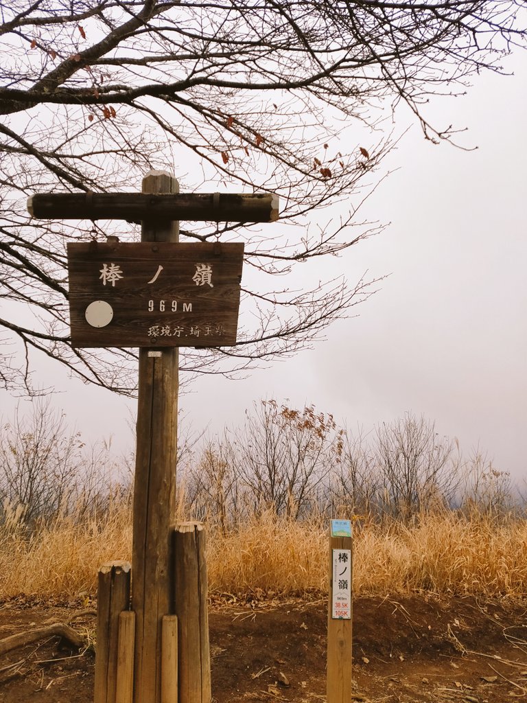 棒ノ嶺(棒ノ折山)、沢を跨ぎながら巨岩の間を通るルートがとても楽しかった。