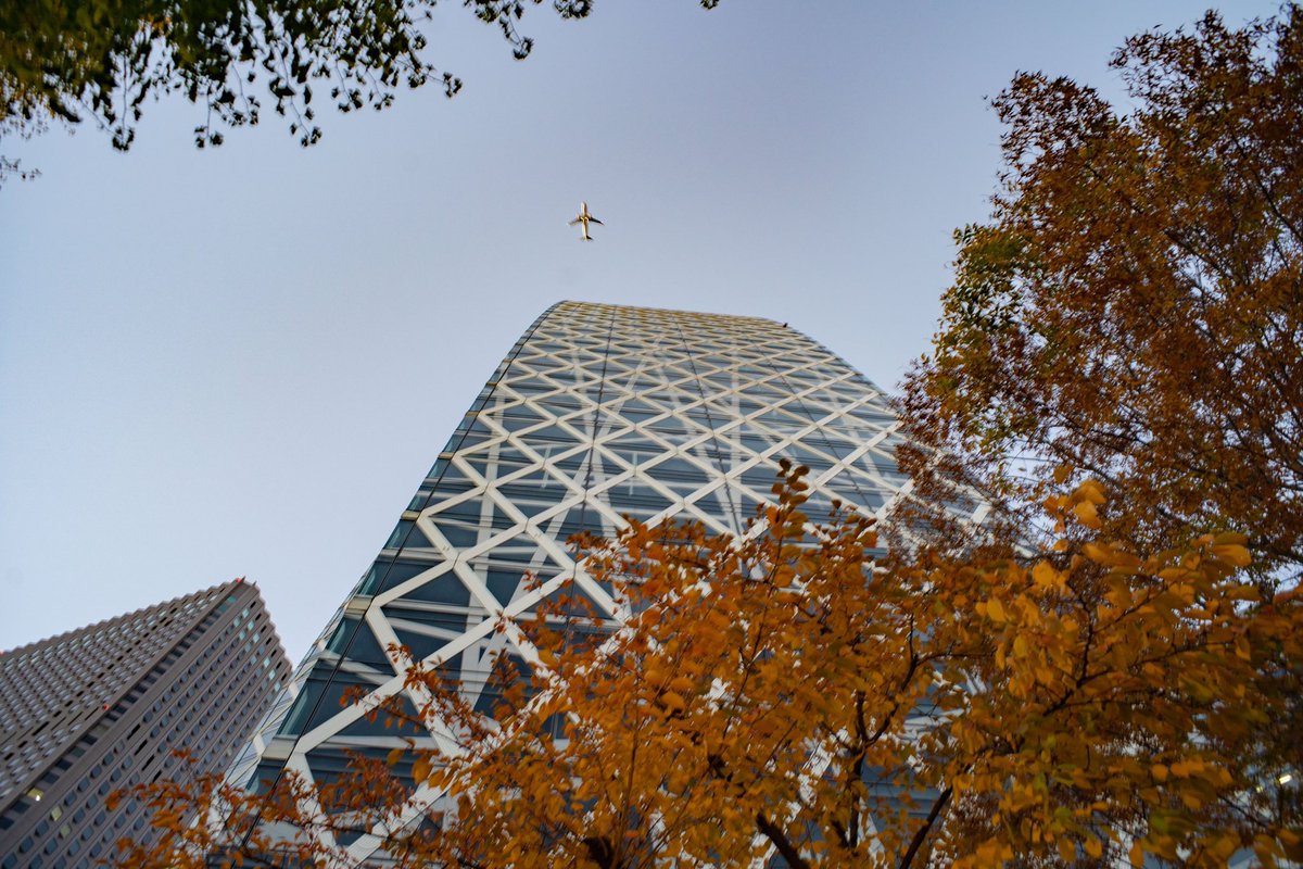pieces_of_wisd1's tweet photo. 街の夕景。これだけ素直でクリアな絵が撮れるレンズが10k以下。
もともと廉価なレンズではあるが、シンプルな設計による低価格の実現であってものづくりは確かだ。
絞りやフォーカスの操作感は、現代のAFレンズにはない秀逸な味わい。
#omzuiko #omzuiko28mmf35 #オールドレンズ #α7iii #α73 #a73 https://t.co/qZqNk2CjtA