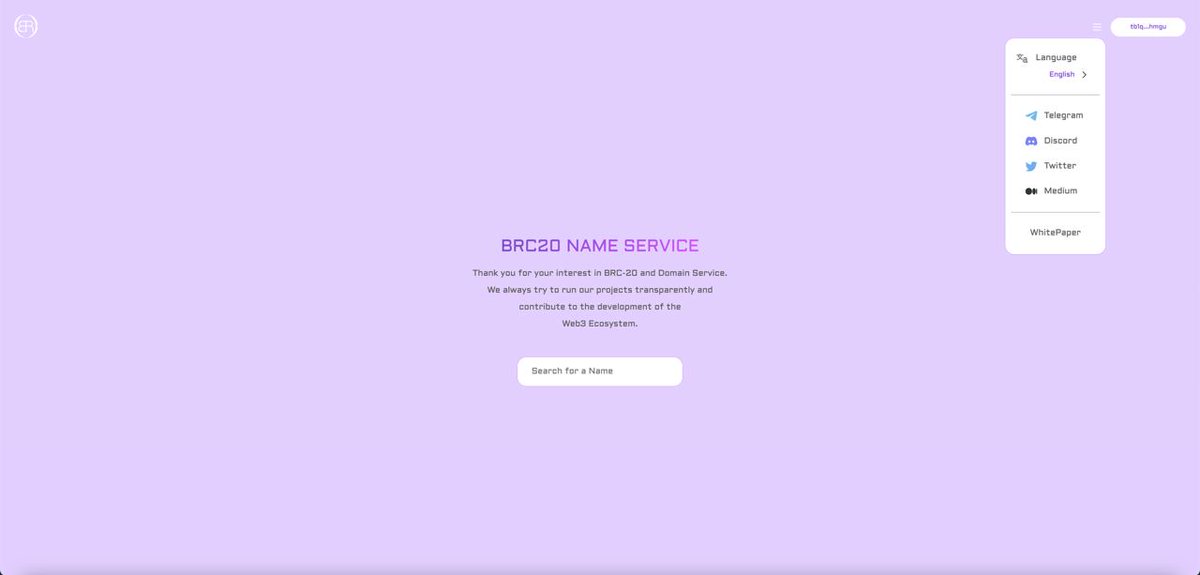 Get your own domain 📇

BRC-20 Domain Mint is coming soon!

#bitcoin #brc20 #nameservice #domain #NFT #BTNS #token