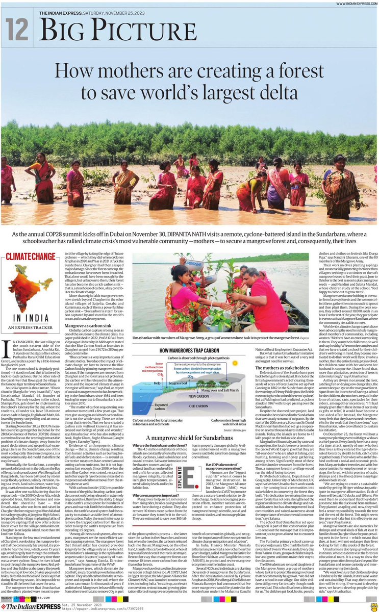 Warriormomsin's tweet image. “How mothers built a forest in world’s largest delta”💙
As annual #COP28 summit kicks off, on a remote, cyclone-battered island in Sunderbans, a schoolteacher has rallied climate crisis’s most vulnerable community —mothers to secure a mangrove forest &amp;amp; consequently, their lives💙