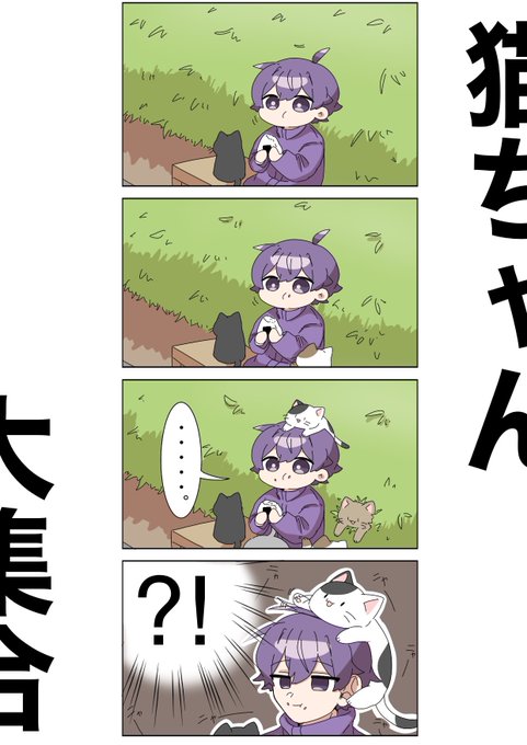 猫大集合🐱 | あんみつ🍮 さんのマンガ | ツイコミ(仮)