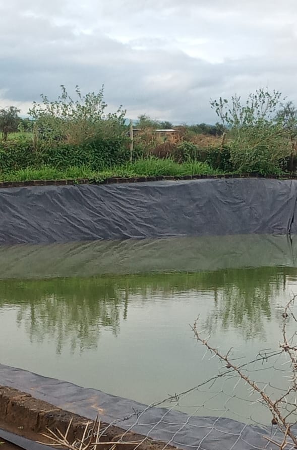 Celebrating simple wins!