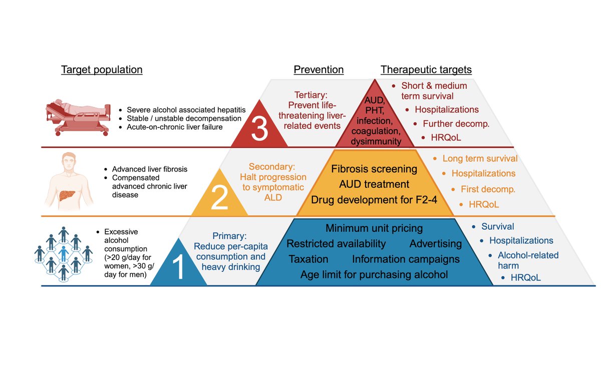 In my view, these are the 🔝 priorities for reducing the burden of alcohol-related liver disease Prevention: 🥇 primary, 🥈secondary, and 🥉 tertiary #LiverTwitter @AleksanderKrag @IsraelsenMads @rabataller @AtoosaRabiee