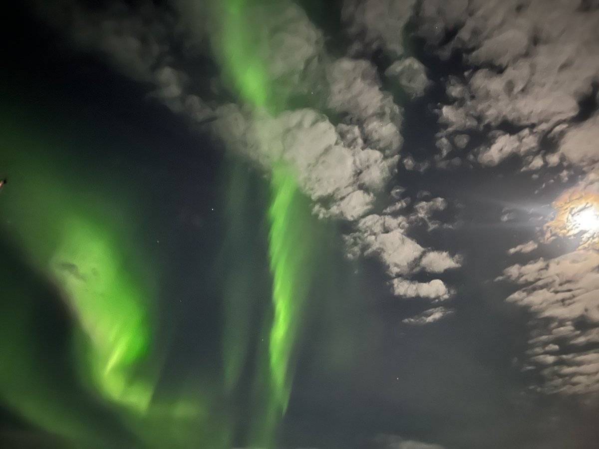 Judith Anton tweet media