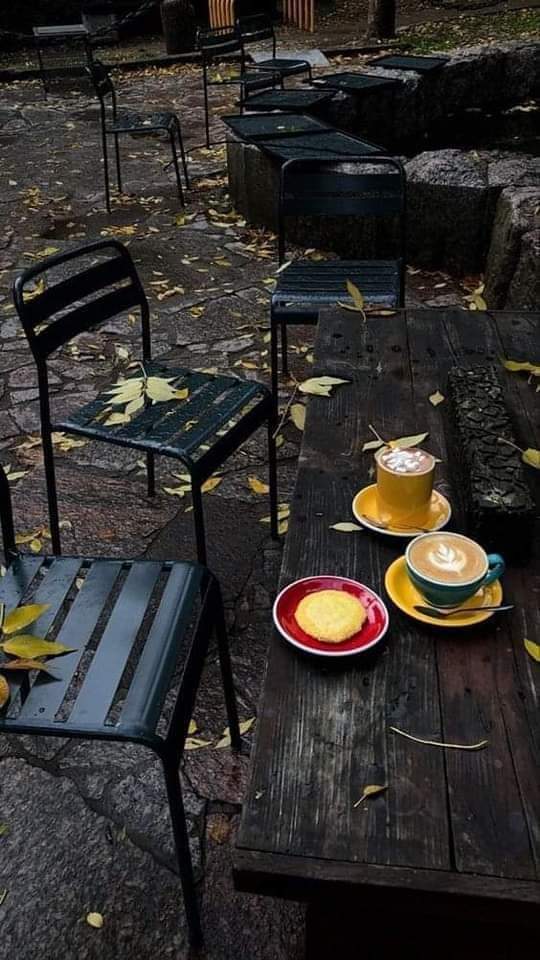 DrHalukoguz's tweet photo. Good Morning.
Happy Sunday https://t.co/tDmqZqi7xl