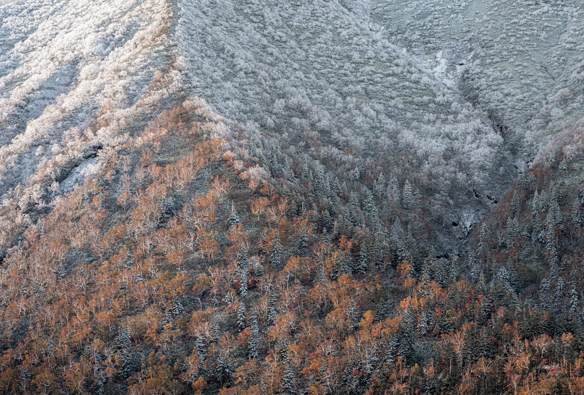 僕が住んでいる北海道上富良野町の美しい景色を見て下さい🙏

The Hokkaidoな景色が好きな方、気軽にフォロー、リポスト、いいね貰えると凄く嬉しいです😊
写真の感想もぜひコメントで教えてください🙇

北海道っぽさ溢れる景色どんどん投稿して行きます！