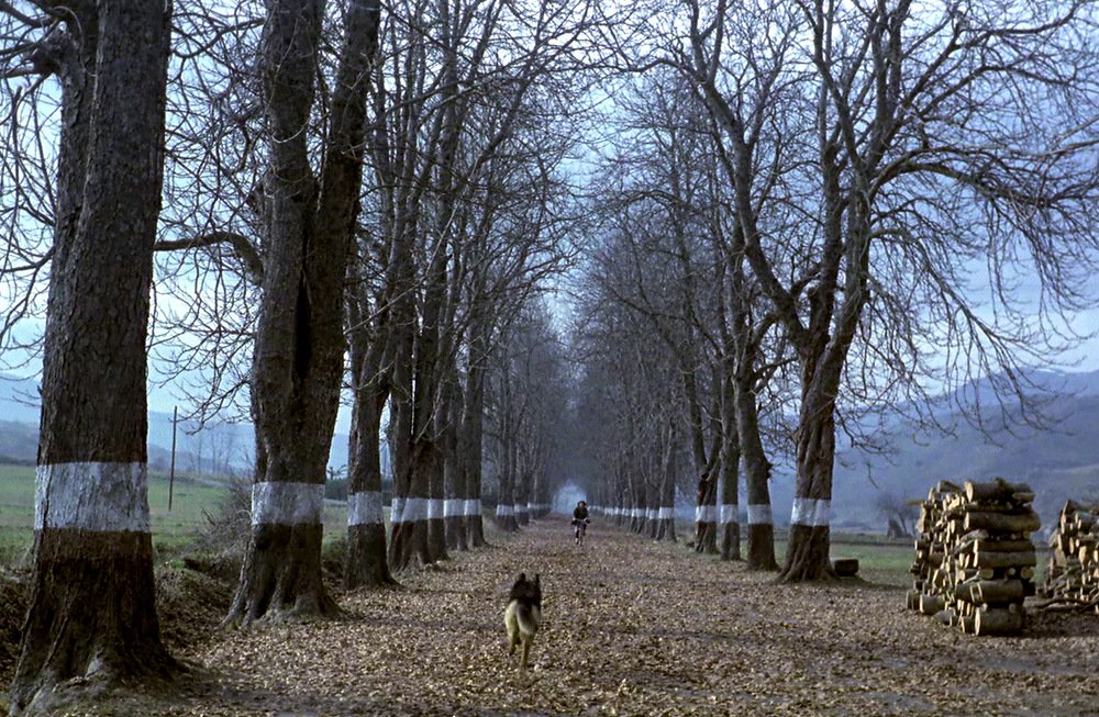 'El Sur' (1983) Víctor Erice.
