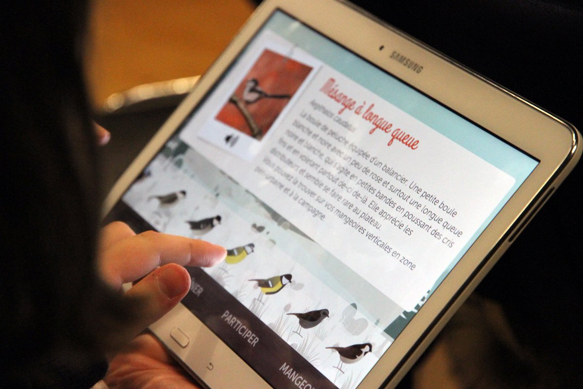 Le_Museum's tweet photo. La Sitelle torchepot est le seul oiseau à descendre des troncs la tête en bas ! 🐦 L’hiver, elle récupère souvent des graines à nos mangeoires pour les stocker… 🌳
10e saison de #BirdLab ! 📲 Aidez à préserver les #oiseaux grâce à vos observations 👉 https://t.co/5McPY66oTr https://t.co/1UVh60H6A8