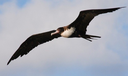 Kaylin Gable tweet media