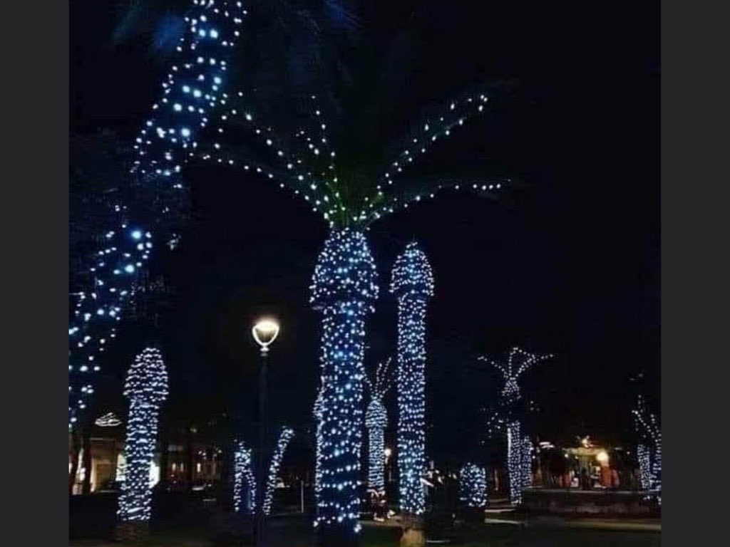 KathyLette's tweet photo. Wanted to wish you a happy Christmas but might be a bit premature. #LightEntertainment. https://t.co/FcxkSNAHPU
