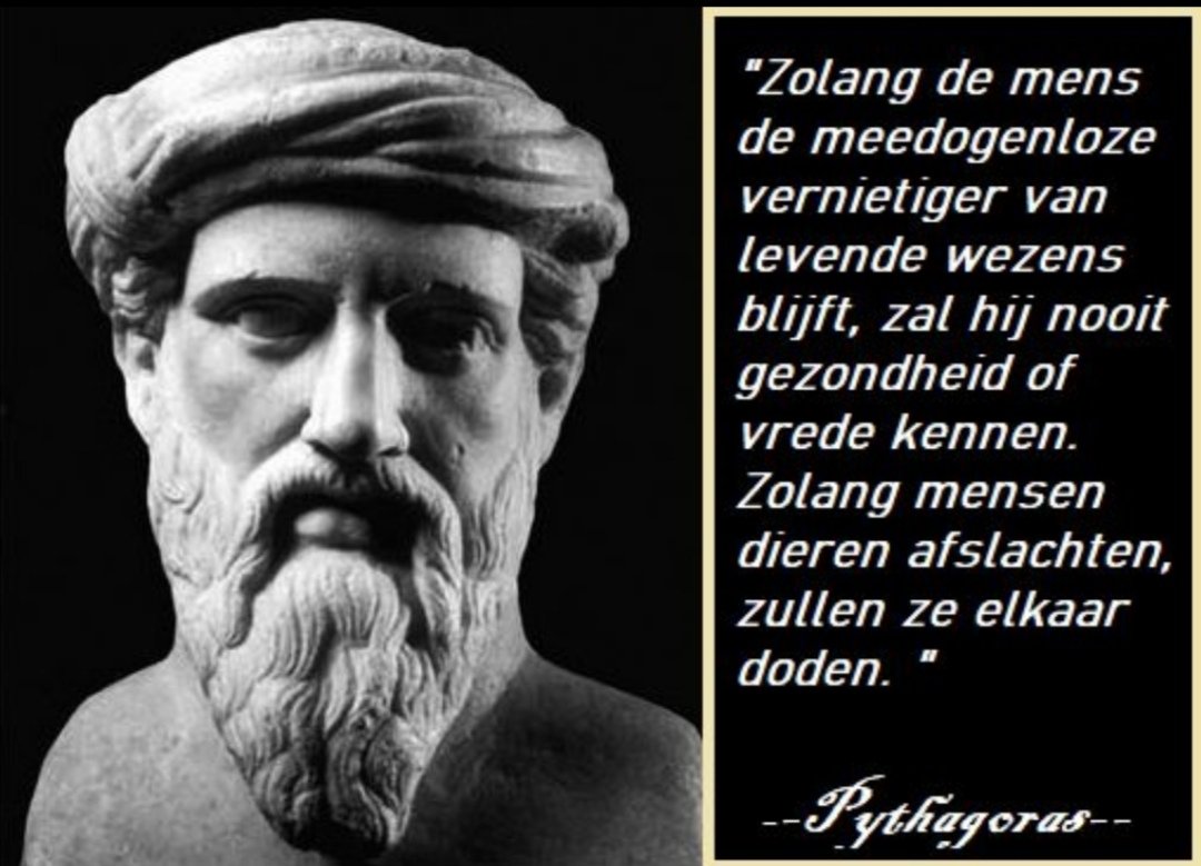 ABiezeman2302's tweet photo. #vredesmars #Amsterdam 26 november #Pythagoras kon wel eens gelijk hebben... โ๏ธโ๏ธ๐๐ท๐๐ฆ๐๐ฆ๐๐๐ช๐ซ๐ฆ๐๐ฆ๐ฆ๐๐ฆ๐ #respect4life https://t.co/qcvb9lGNky
