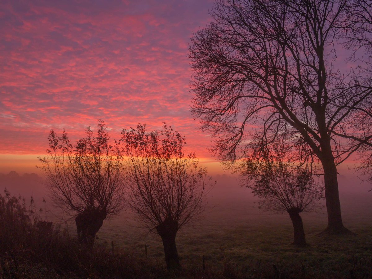 Veendi's tweet image. Nog een foto van de prachtige #zonsopkomst afgelopen woensdag #mist @zoomnl @Roots_NL @Natuurmonument @Vught @ChipFoto @CameraNU_nl @NatuurfotoNL #halder