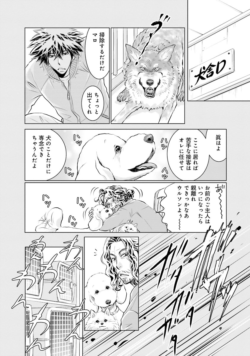 2023年11月26日のツイート | DOG SIGNAL（ドッグシグナル）【公式