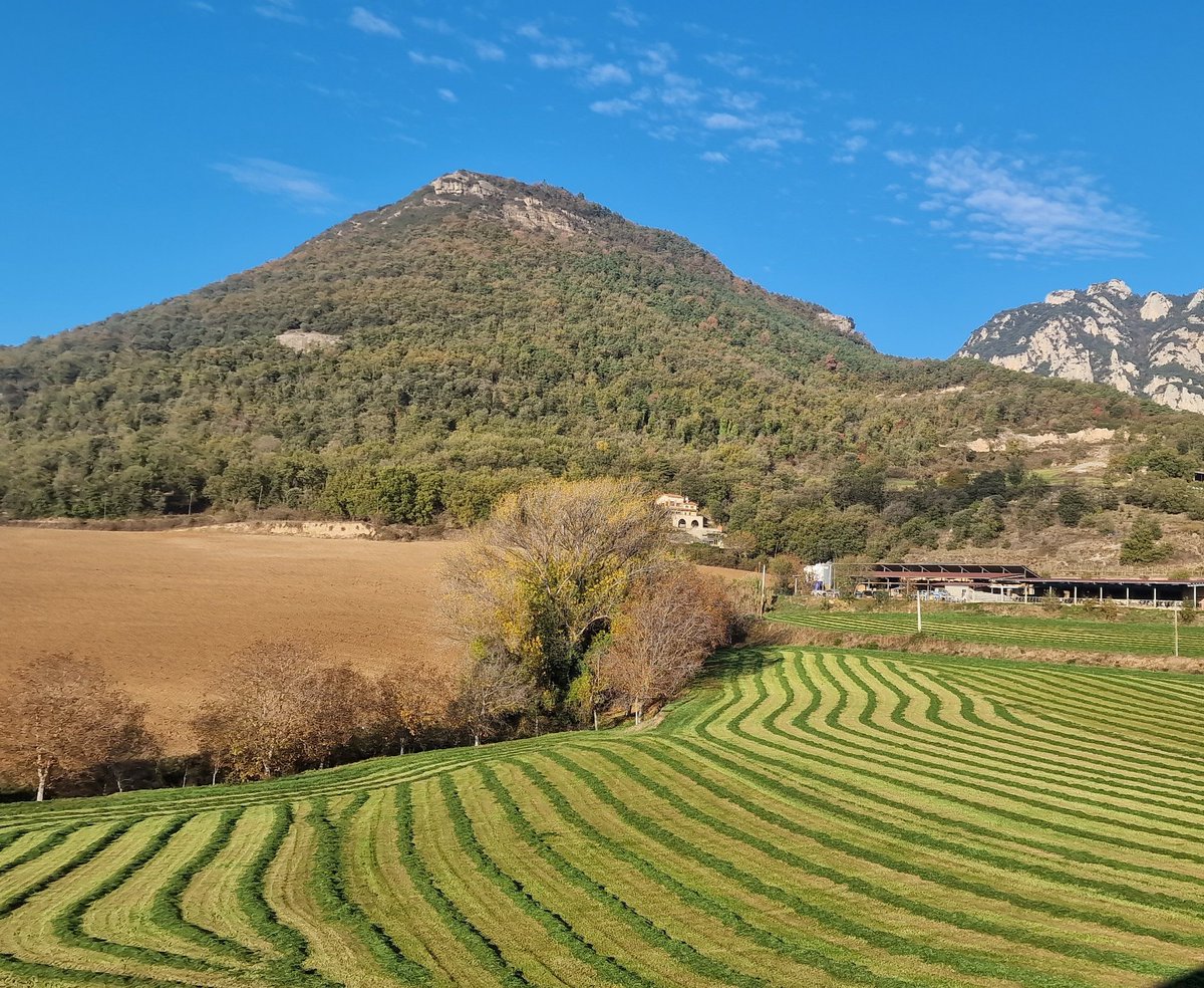 rousprat's tweet photo. A casa, els quadres de les parets els pinten les estacions de l'any i el veí de @CalSerrador amb el seu tractor.
💚💛🧡🤎
#viurearural #Berguedà #Avià https://t.co/N6F4BOEgeK