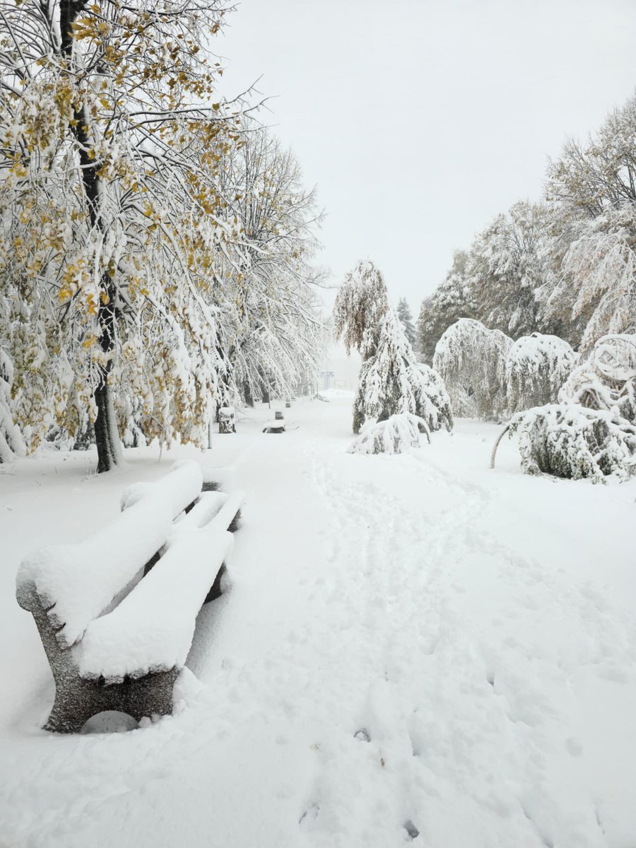 𝓕𝓪𝓽𝓲𝓱 (@fatich102) on Twitter photo 