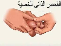 MMhailan's tweet photo. معلومة طبية
ورم الخصية
يظهر ككتلة صلبة غير مؤلمة في الخصية في سن الشباب .
يجب مراجعة اختصاصي جراحة المسالك البولية والتناسلية فورا ، لان العلاج المبكر يؤدي الى شفاء كامل باذن الله . https://t.co/1NaQ37mFhu