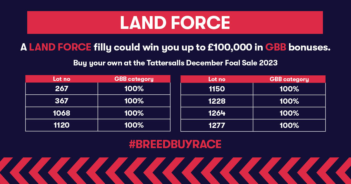 Land Force is the classy Gr. 2 winning stallion with a number of GBB winning progeny inc' multiple bonus winner BAND OF JOY. All these fillies in the @tattersalls Foal Sale are 100% GBB and therefore eligible to win multiple bonuses of up to £20,000 per race. @JakeJWarren