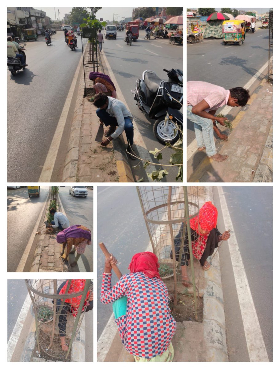 DyMCEast's tweet photo. Central verge cleaning, access vegetation removal and tree trimming at Various locations of East Zone.
#SwachhAmdavad 
#GreenAmdavad
#SwachhGujarat2023 
#MyCityMyPride https://t.co/tUOvNRrktc