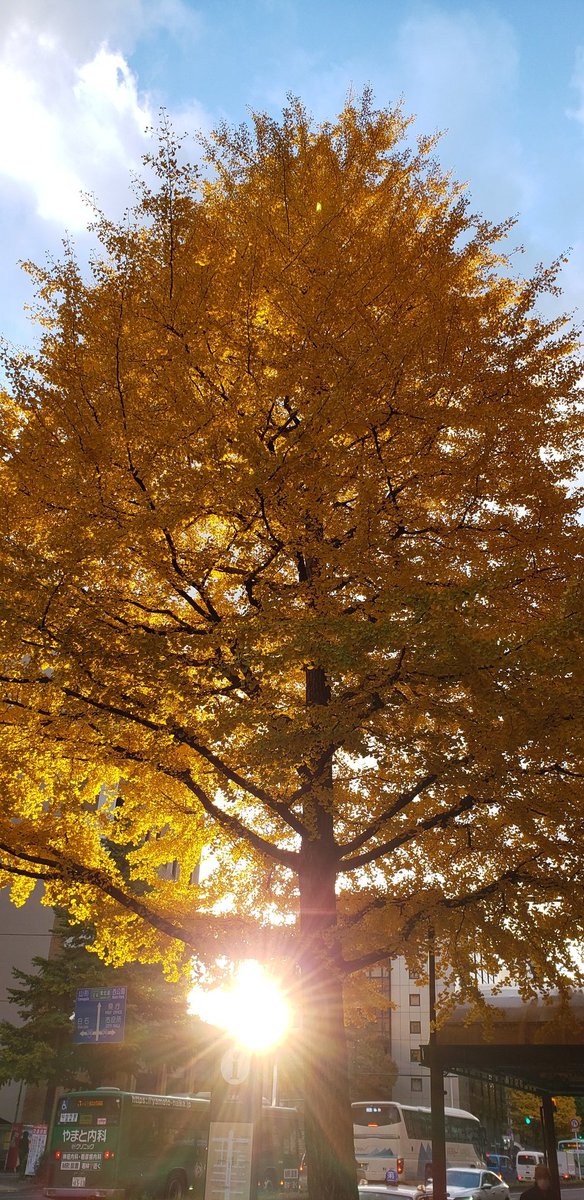 nCSEbrRDNSeLPHP's tweet image. 