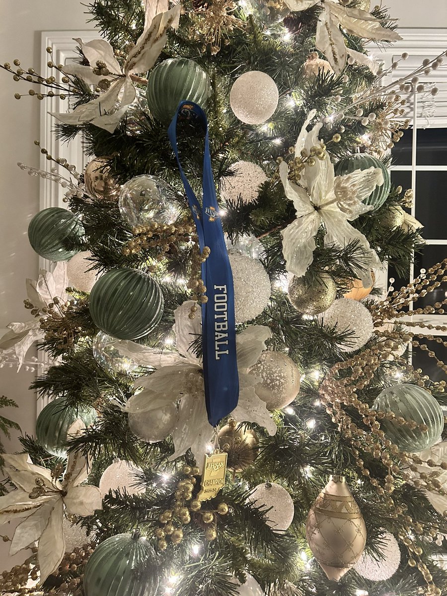 RussMann09's tweet image. The best ornament of all!!

WE ARE BD!!
#Number10
#2023