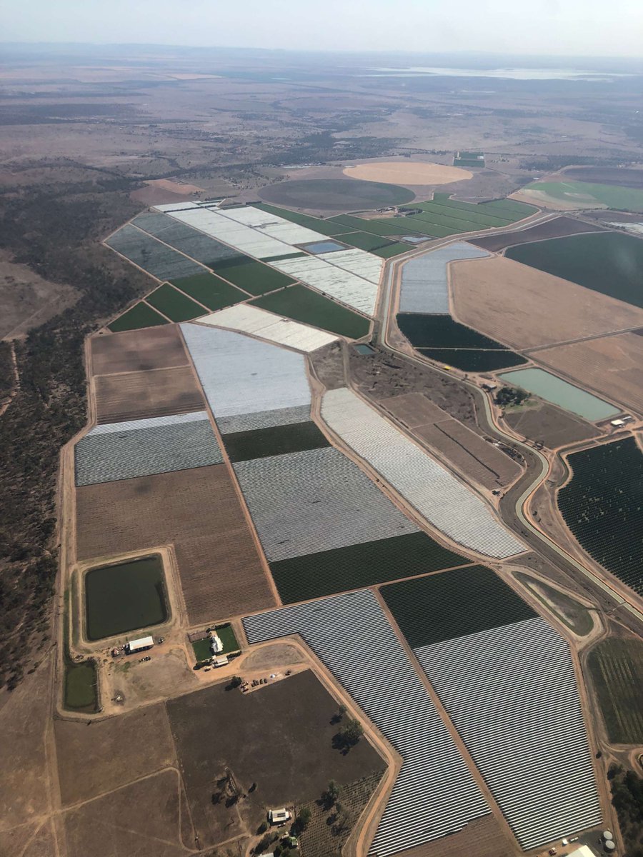 cussonsmedia's tweet photo. Soaring above Emerald reveals a patchwork of crops. From golden wheat fields to lush green cotton, each square tells a story of the labour of love that is farming. 📷🌾✈️ https://t.co/lQroHsdRaZ