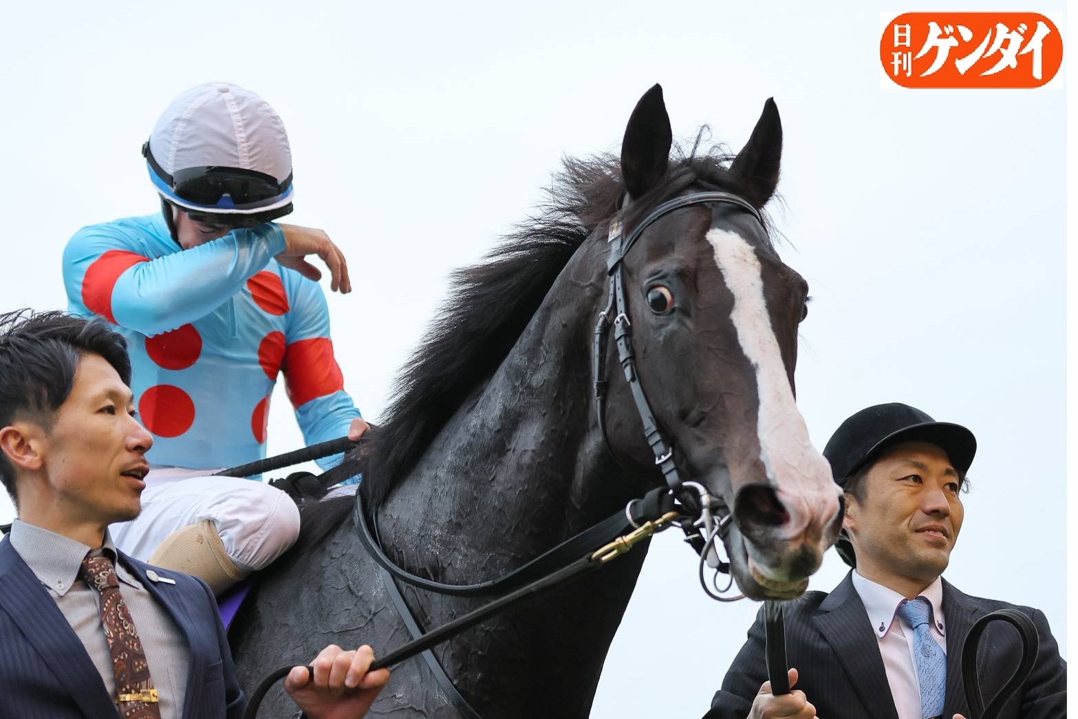 日刊ゲンダイ 競馬 on X: 日刊ゲンダイ 競馬 on X: