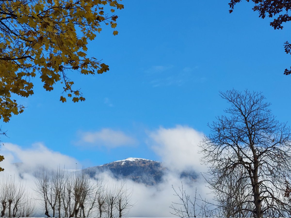 Guten Morgen aus dem schönen sonnigen Kärnten!
Ich hoffe es geht Euch allen gut und wünsche Euch einen wunderschönen Sonntag!