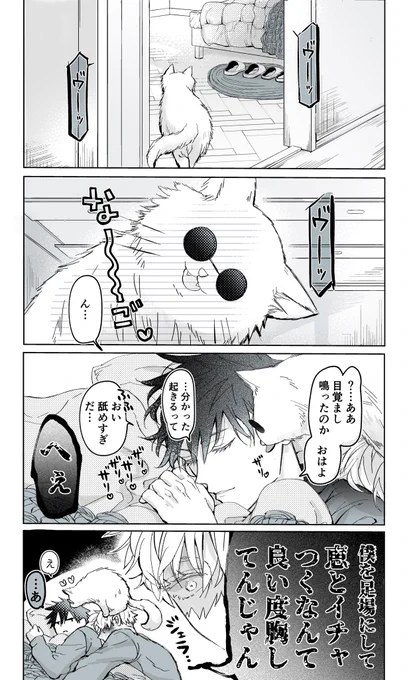 同棲五伏 +猫 