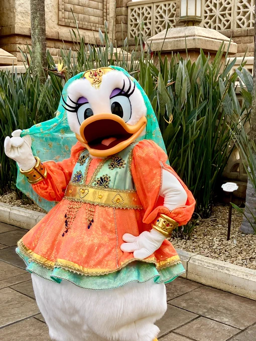 昨日ですが今年もアラジンスクリーンデビュー日お祝いインパしてきましたお会いできた麗しのお姫様たち 