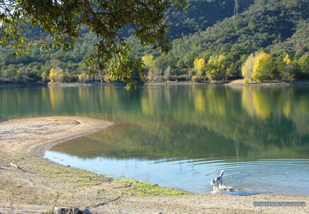 Lac de Saint Cassien en automne 🍂🐶

#SaintCassien #PaysdeFayence #DepartementduVar #CotedAzurFrance #AutumnVibes #chiens #dogs