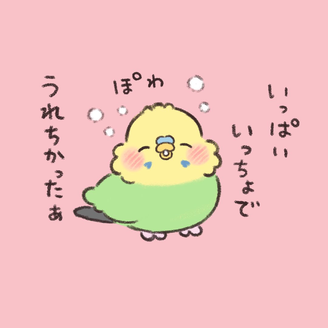 かいぬち。

#budgie
#セキセイインコ 