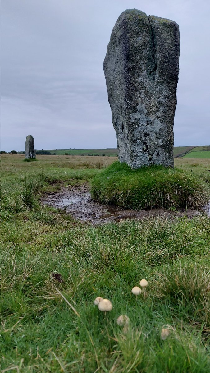 Trippet stone circle  #standingstonesunday #Bodminmoor #Cornwall