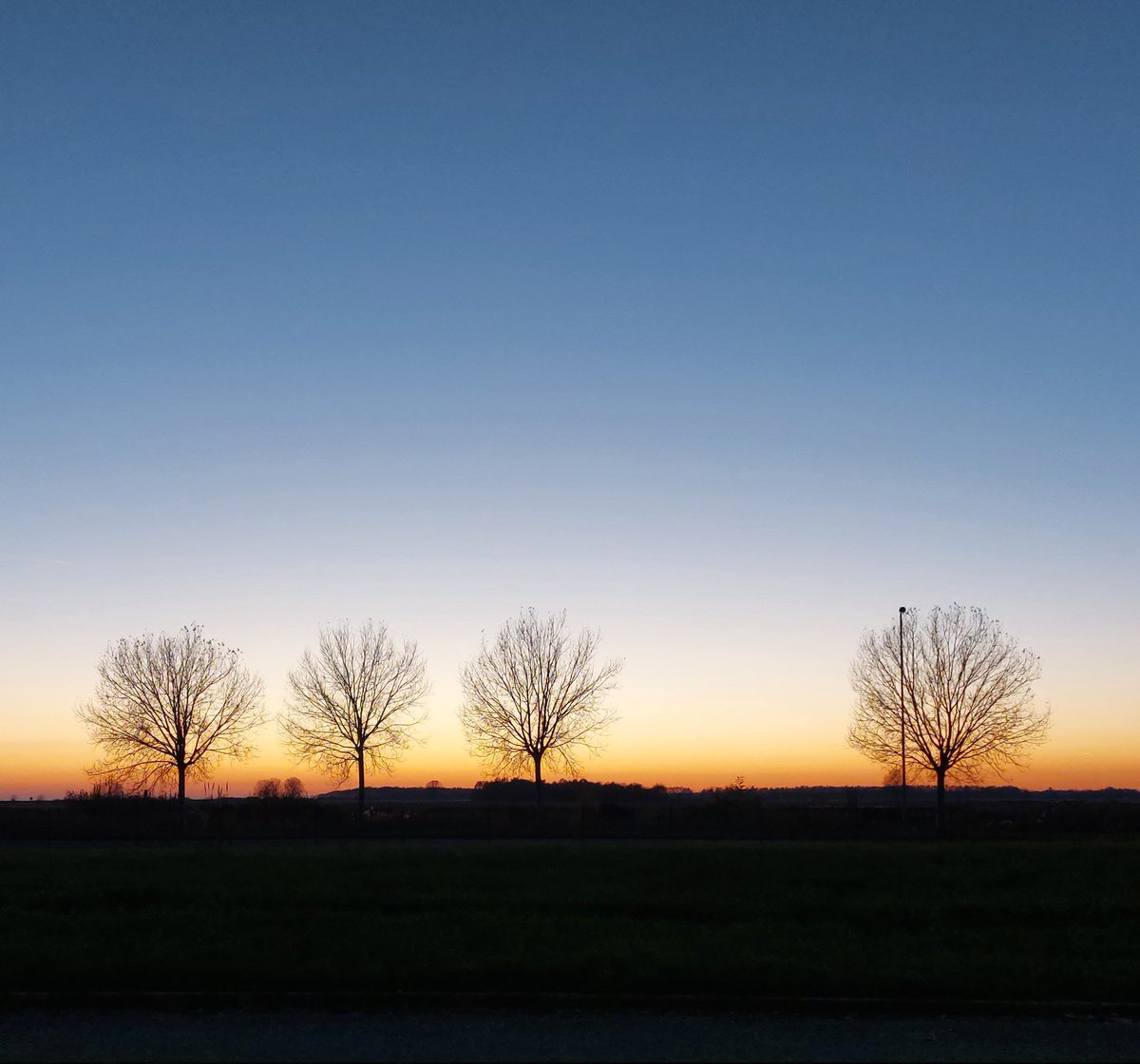 OmoMalo's tweet photo. Buinesere 
#tramonto #sunset #alberi #trees #winter #pic #ciao #buonasera #GoodEvening https://t.co/WnpG76qhoM