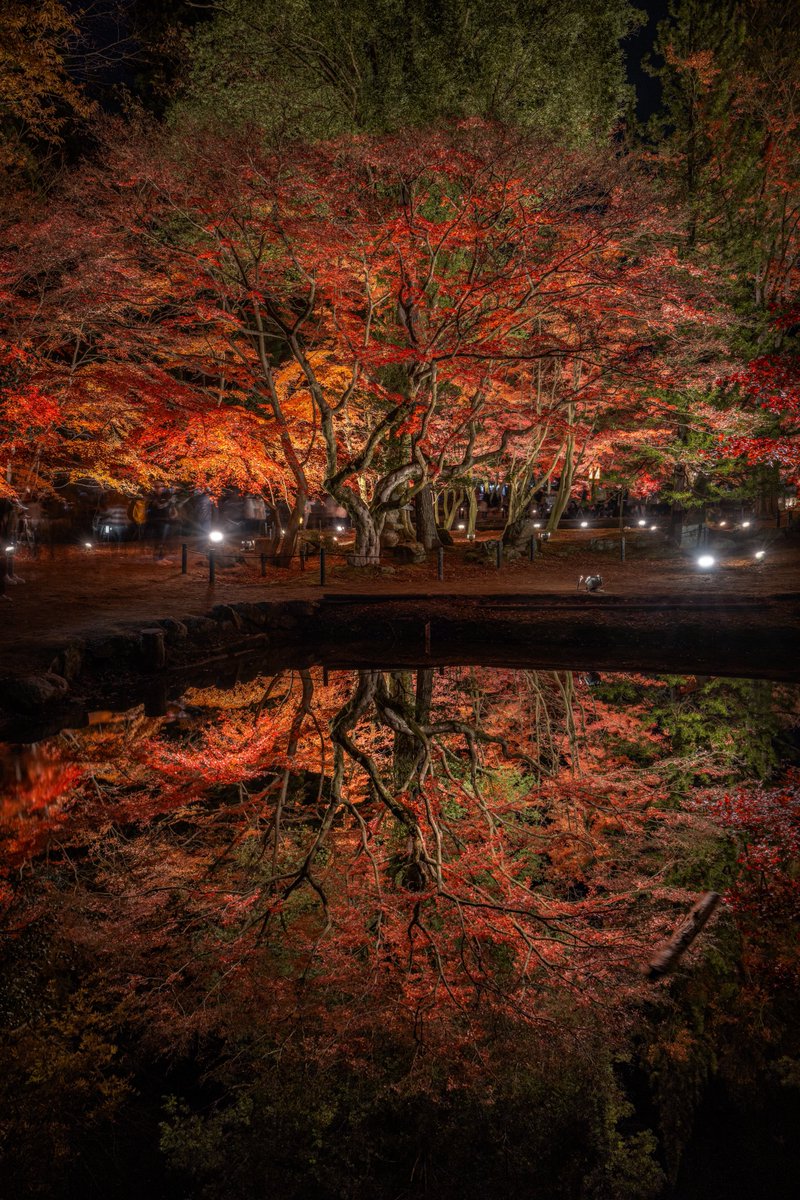 岐阜の誇る紅葉の鏡池が美しい