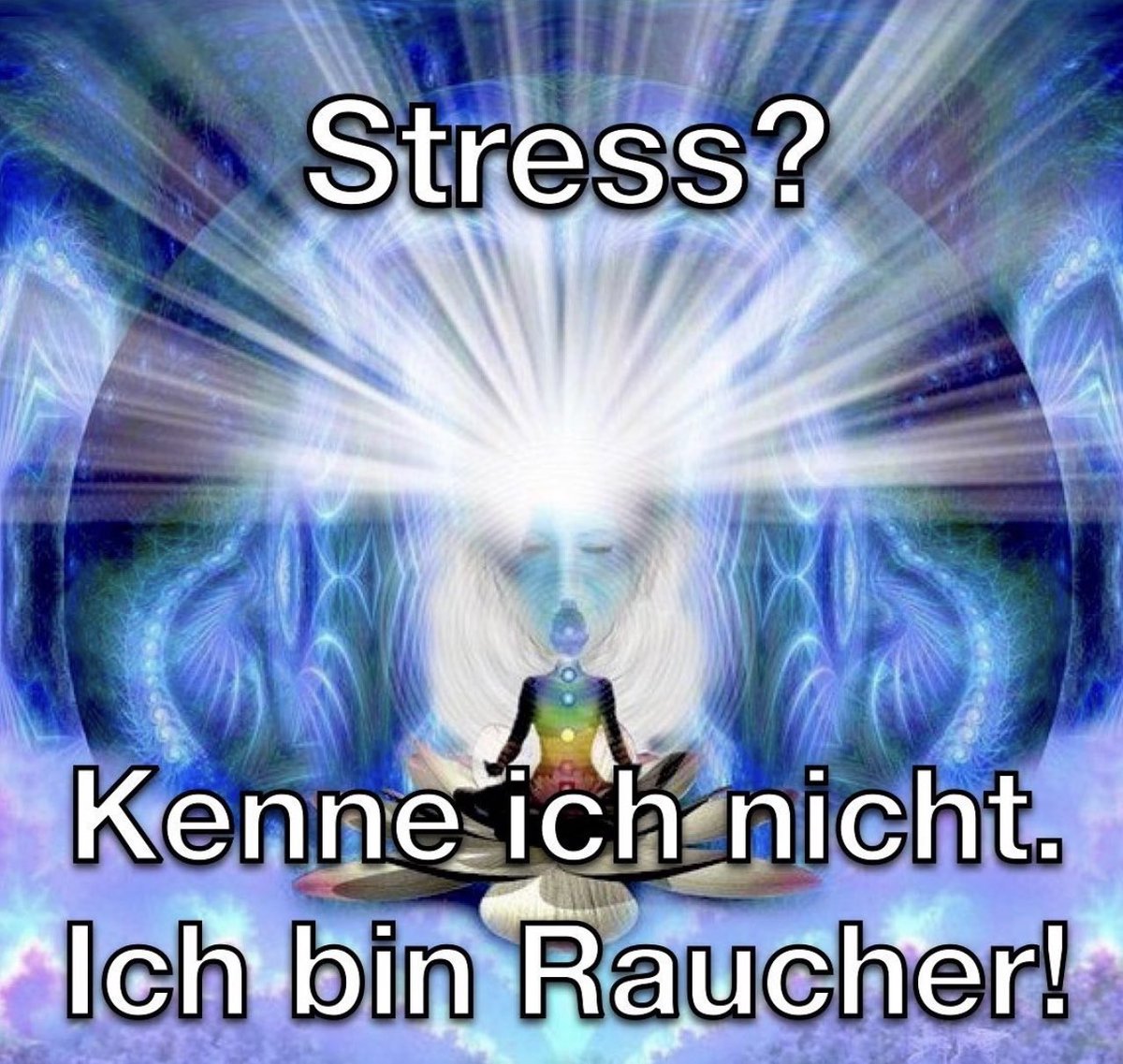niemand (@ronny_kurz) on Twitter photo 