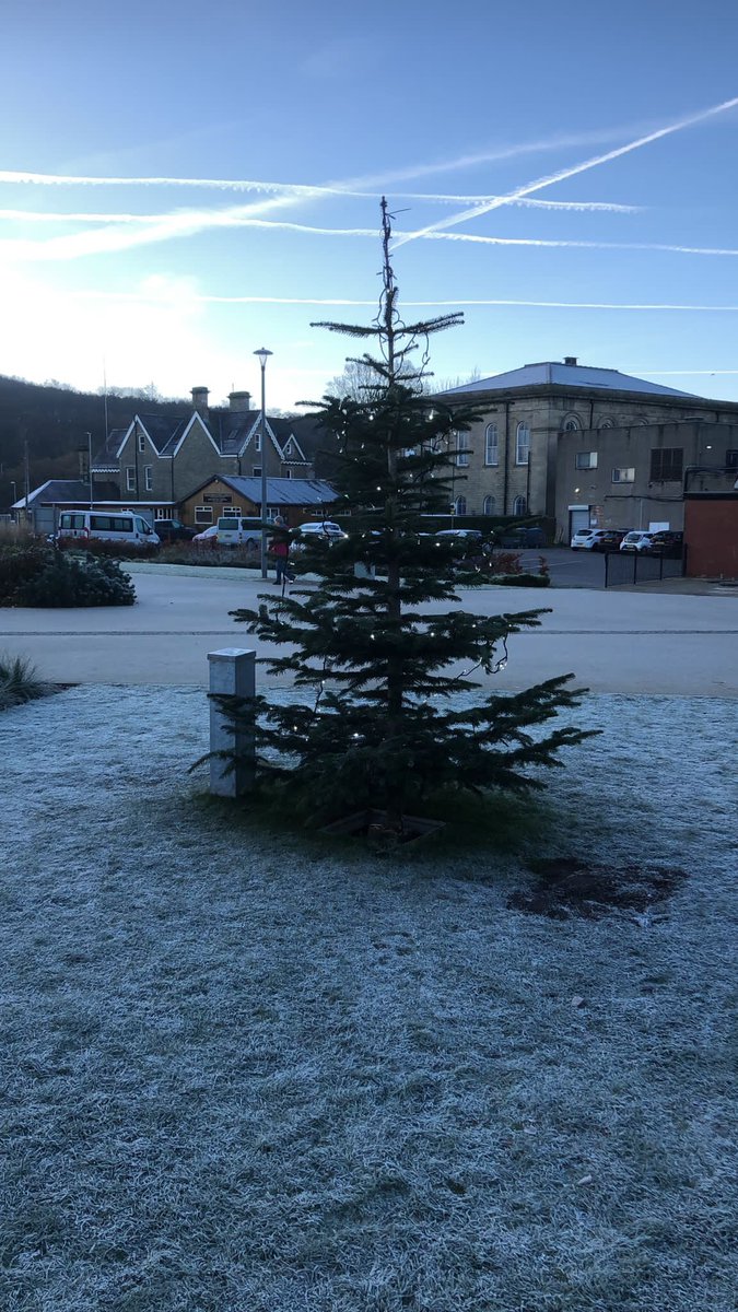 dw_barker's tweet photo. Morning @campbellclaret . How about this for tree of the day?  @RossendaleBC had thousands down to watch the “big” switch on on Friday. Most couldn’t see it. https://t.co/R1etBHbAXa